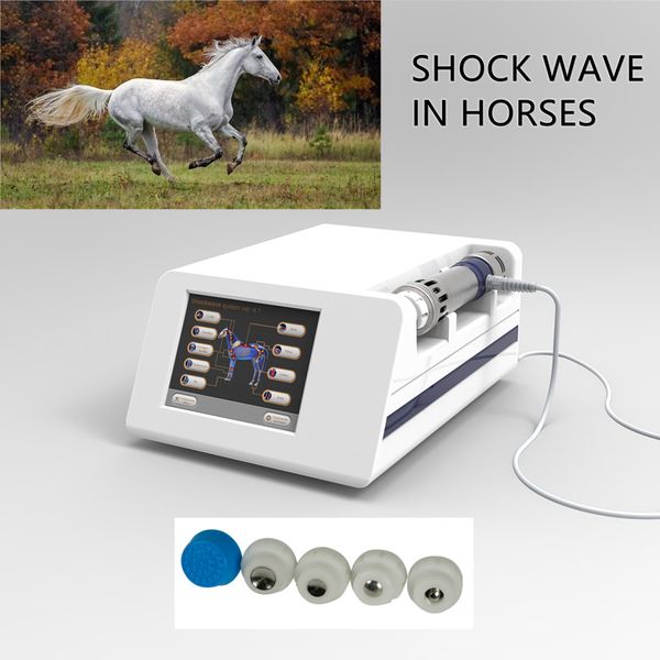 Veterinärmedizinische Instrument Pferde Equine Shock Wave-Therapieausrüstung für Pferd mit 5 stück unterschiedliche Größe der Tipps
