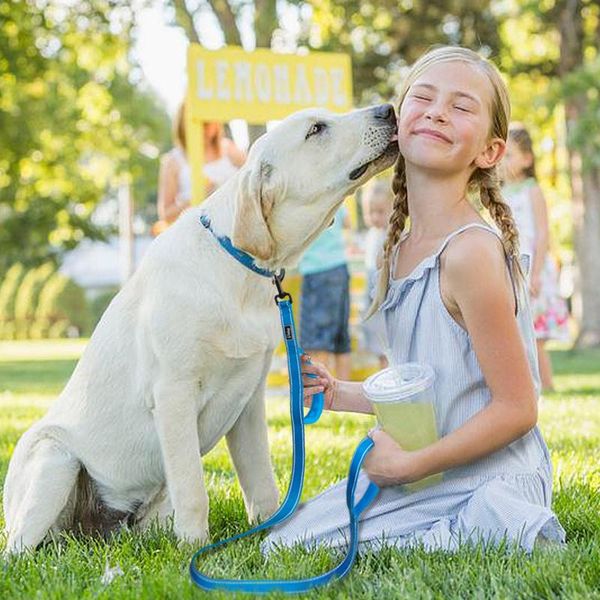 

2 handles nylon padded double handle leash for greater control for medium large dog dual padded handles protect dog in bbyaxt