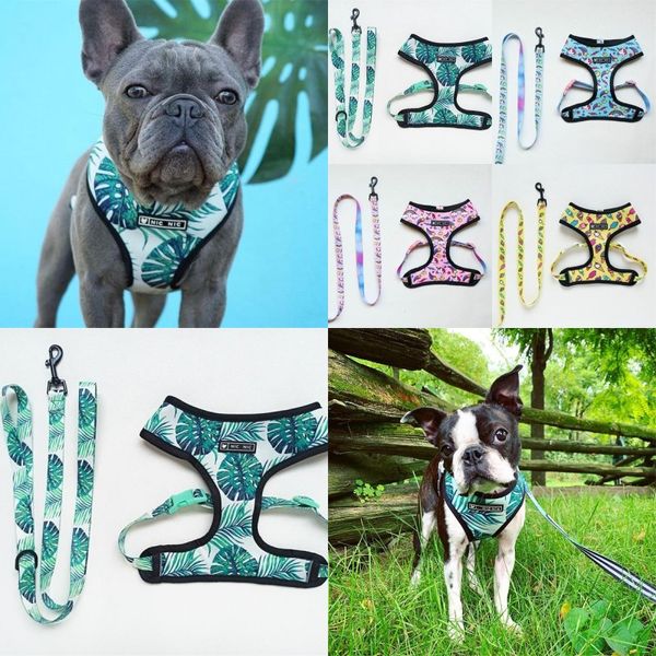 Unicórnio do arco-íris Traction Belt Folha Ice Cream Harness Encantos Animais Leash Cat Vestuário bonito Tow Rope Coleira F2 suprimentos Roupas 29gl