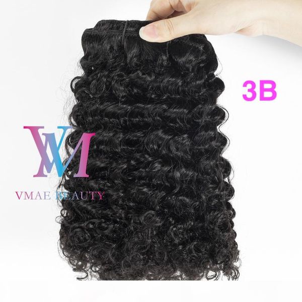 

peruvian virgin afro kinky curly hair 3b 3c 4a 4b 4c natural color cuticle aligned 100g remy human hair 12 26 clip in extension, Black