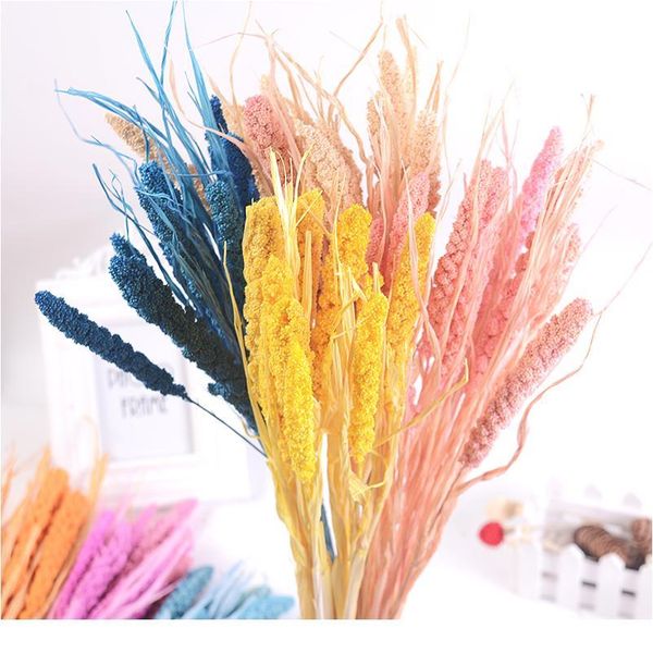 

10pcs natural dried flower grain artificial flower decorative bouquet for home wedding table decoration diy wreath fak jllzwt