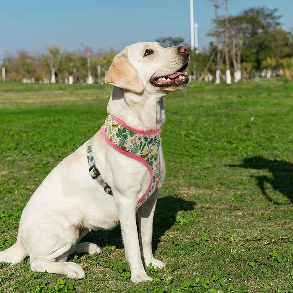 

cute printed chihuahua french bulldog harness adjustable puppy cat harness pet small dog vest for pug yorkie walking bbyqhw
