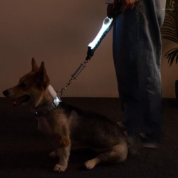 

pet supplies bright dog collar light night safety sports cat increased visibility leash accessories led flashing outdoor walking1