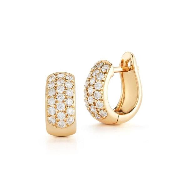 

hoop & huggie lozrunve fashion 925 sterling silver gold filled jewelry delicate pave small earring, Golden;silver