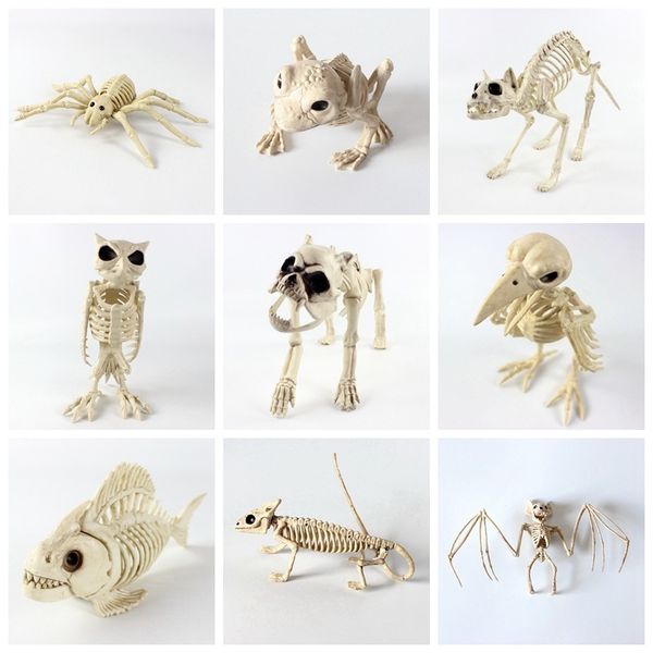 

skeleton animals halloween mouse props dog cat skull bone ornaments hallowmas horror haunted house party decoration
