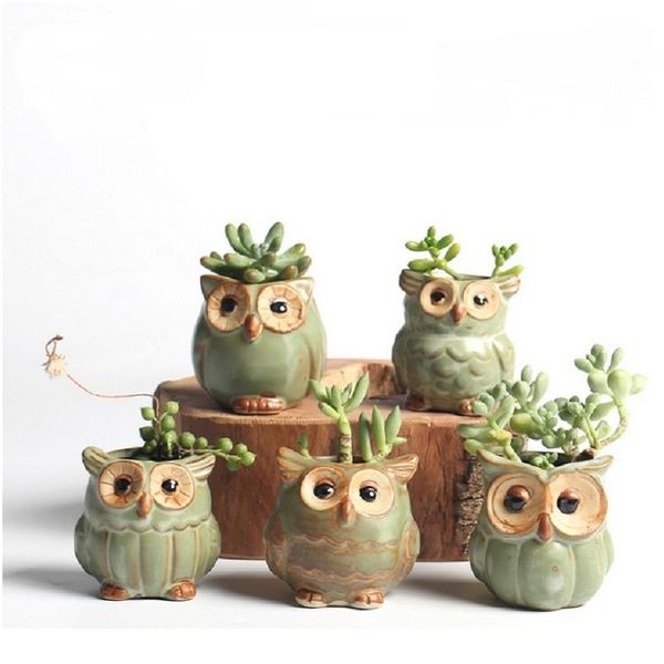 

5 pcs/set creative ceramic owl shape flower pots 2020 new ceramic planter desk flower pot cute design succulent pla bbytpo
