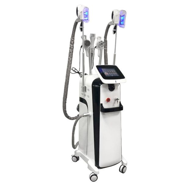 

vertical fat ing cryolipolysis customized body slimming weight loss slimming good quality l slimming machine weight loss for beauty