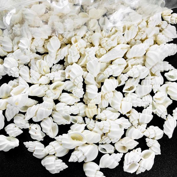 

100g natural white conch shell aquarium fish tank landscape mini conch seashells diy nautical home decor specimen wedding decor h bbyjlr