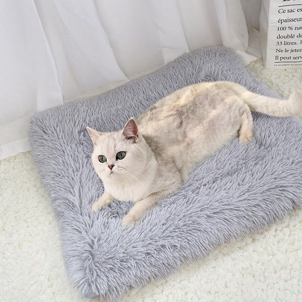 

теплый кошка кровать дома домашнее животное щенок диван-кровати кошка мягкий гнездо питомник зимняя собака кошка cat cat cathion cats cats p