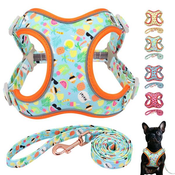 

new fashion nylon dog harness leash set reflective fruit printed dog vest leash for medium large dogs french bulldog wmtkgf