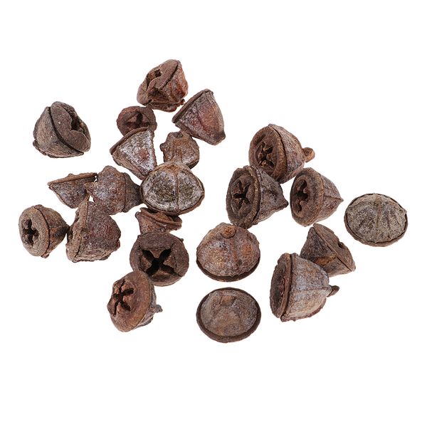 

50 pieces rustic natural dried flower fruit ornaments for vase filler bowl displays wedding party christmas home table decoration