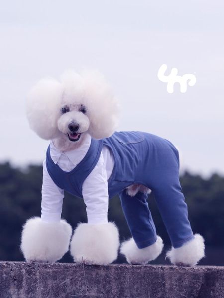 

dog apparel lovely clothes pet clothing puppy jumpsuits for small dress teddy bomei autumn winter cute sweater jj60glt1