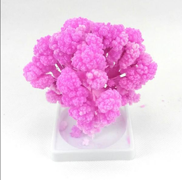 

2017 10x8cm arbre magique artificial magical grow sakura paper trees magic growing tree educational exploring ability developing kids toys