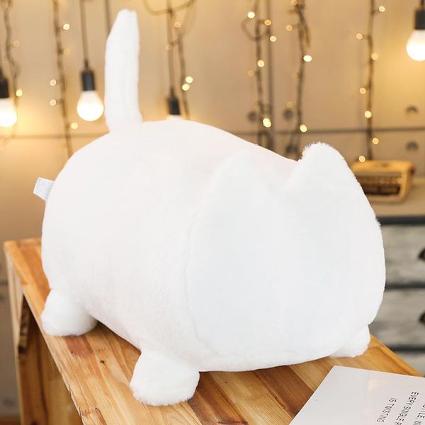 

40 55см плюшевые игрушки fat cat чучело плюшевые игрушки нет face cat плюшевые куклы для детей девушки подарков мягкая подушка big wmtjlt in