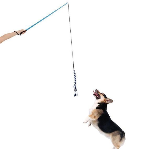 

extendable dog puppy teaser pole wand outdoor interactive pet dog flirt pole training jllcll bdefight