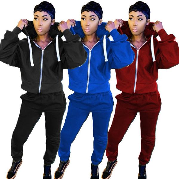 

simple pure color long sleeve zipper crop and pants 2 pieces set casual lady fashion women tracksuits, Gray