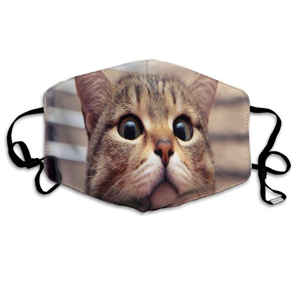 

face mask cat head on the desk ized cycling half face earloop mouth mask for boys