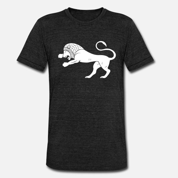 

a roaring lion t shirt customized street trendy tracksuit hoodie sweatshirt