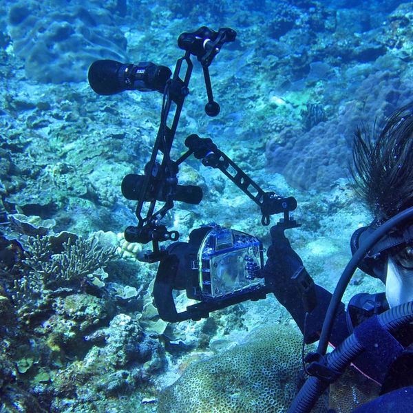 

1\" triple ball arm clamp mount underwater 1/4\" screw flash speedlight butterfly clip light weight