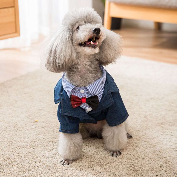 

dog cat bow tie suit wedding drs teddy is more handsome than xiong bomei