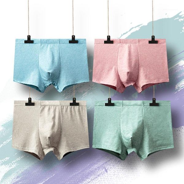 

underpants 4pcs\lot mens underwear boxers cotton men boxer shorts arrival underwear1, Black;white