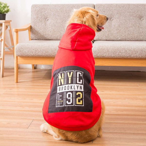 

golden fur big puppi winter cloth labrador medium large dog pet spring and autumn