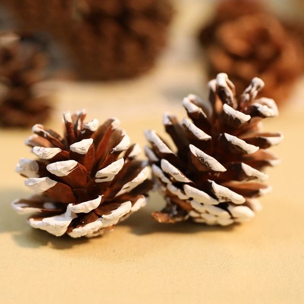 

ossgy add snow decoration natural interior pine fruit natural northeast chinese indoor day pine and outdoor creative dry flower cedar interi