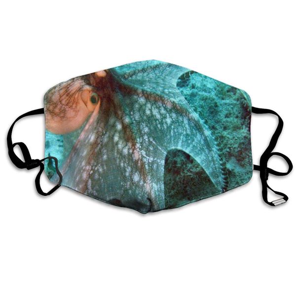 

dustproof washable reusable oriental cat mouth cover mask protective warm windproof mask