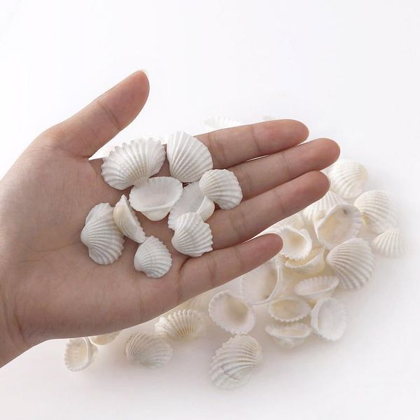 

30g about 20pc aquarium landscape natural seashells decorations scallop shells jewelry crafts wall decor orname qylziu, Black