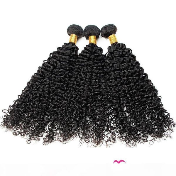 

human hair weave kinky curly brazilian virgin hair bundles 3 bundles human hair extensions natural color dream diana, Black