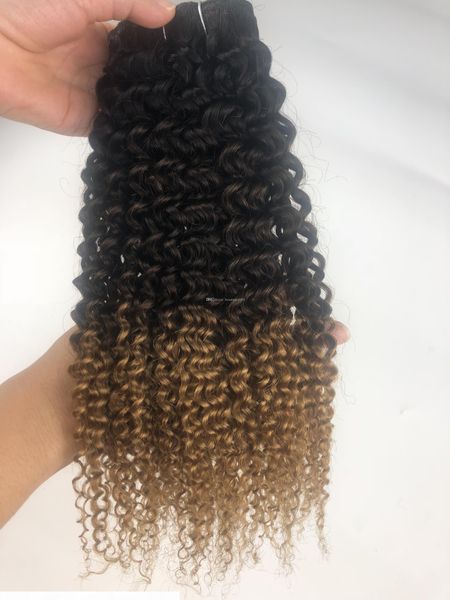 

ombre blonde brazilian kinky curly virgin hair color 1b 4 27 jerry curly 3 4 bundles human hair extensions, Black