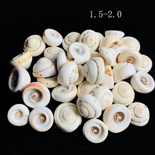 

5pcs natural spiral shell for pgraphy decor home room office table bedrooms gallery fish tank decor beach party diy landscap h jlldxr