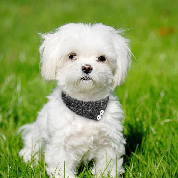 

bandana collar for small medium dogs chihuahua adjustable leather puppy cat collar plaid scarf neckerchief dog accesso wmtnuy