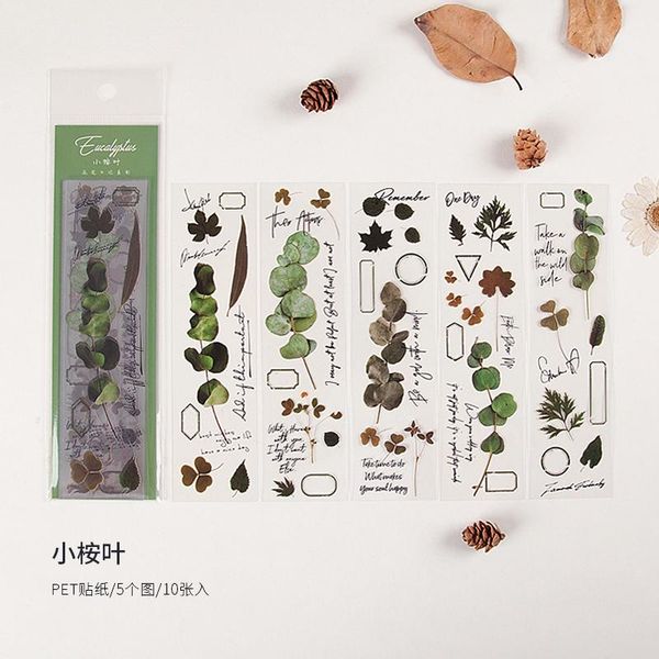 

цветы diary серии ботаника наклейки творческий журнал stationery школа scrapbooking deco наклейки эстетическая daisy sqcklu bbgargden