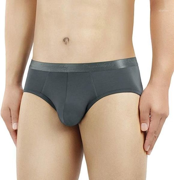 

underpants men's micro modal soft underwear contoured pouch briefs silky touch us size1, Black;white