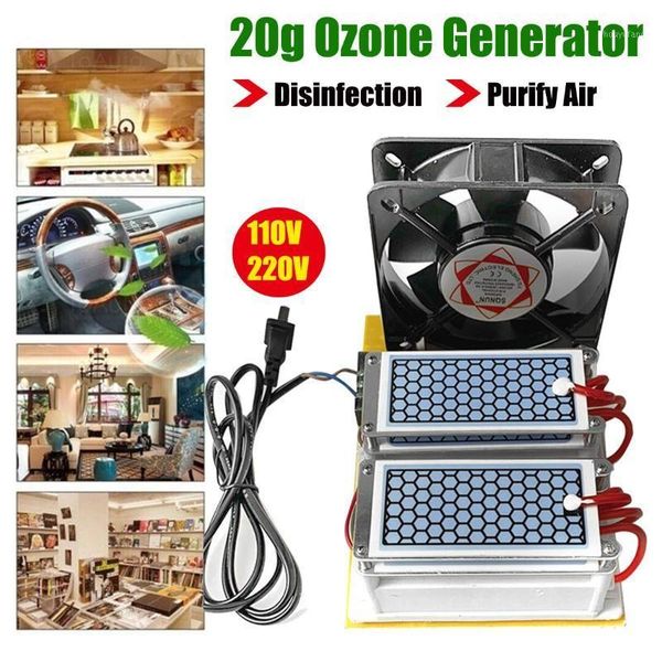 

[with fan] 20g 110v / 220v portable ceramic generator ozone machine long life air water purifier ozonizer1