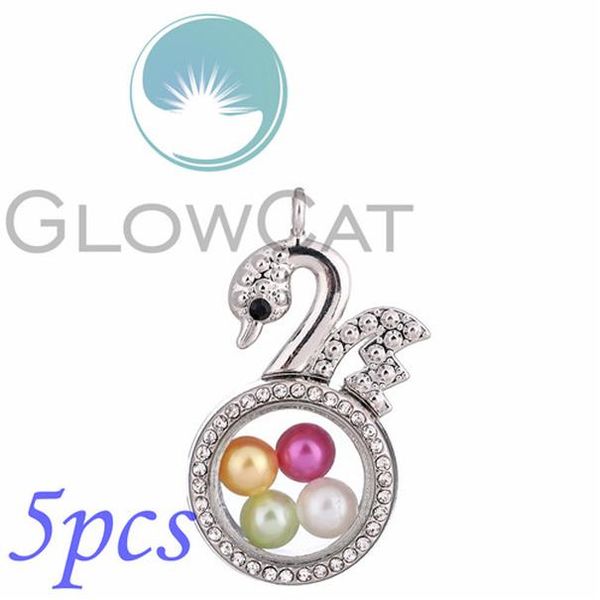 

5pcs magnetic glass locket pendant rhinestone memory floating charms p lockets animals cross swan moon sqcxwl new_dhbest, Silver