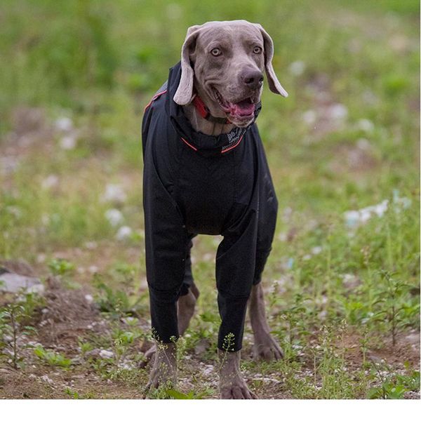 

pet big dog raincoat jumpsuit waterproof breathable clothes for medium large girl dogs rain coat french bulldog labrad jlldwh