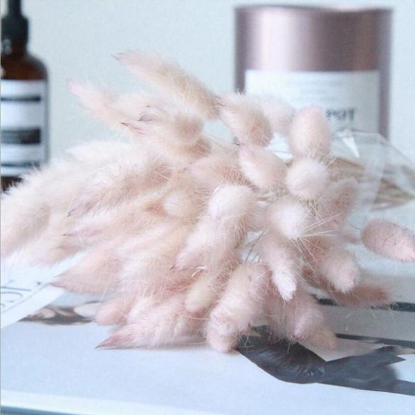 

30pcs/lot natural dried flowers rabbit tail grass bunch colorful lagurus ovatus real flower bouquet for home wedding de bbyryr