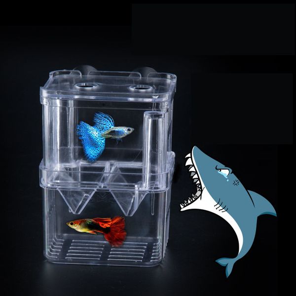 

accessories acrylic aquarium fish two kinds of fry incubator