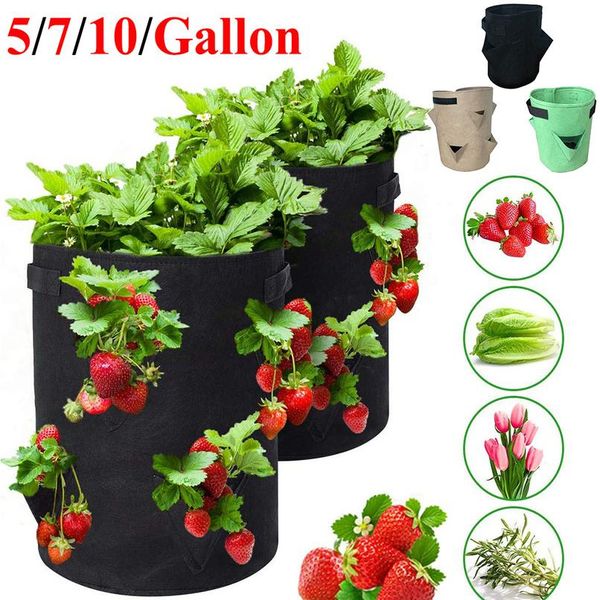 

сад открытый plng выращивать сумка клубника вертикальный цветок терб мешок корень дышащий овощной круглый повременный горшок pla wmtjpl