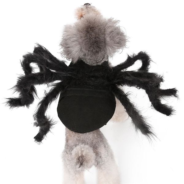 Halloween pet cão roupas de pelúcia aranha vestir-se para cães pequenos gatos cosplay engraçado festa filhote de cachorro traje para chihuahua yorkie 2012235m