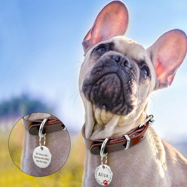 

custom dog tag engraved pet dog collar accessories personalized cat puppy id tag stainless steel paw name tags pendant a sqcogs