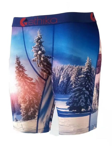 

2021 ethika men's boxer underwear random style ethika sport hip hop street quick dry promotion quick delivery 03