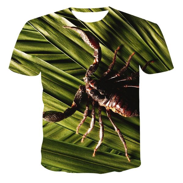 

year colorful birds flowers gray parrot 3d print shirts aesthetic hentai harajuku men clothing