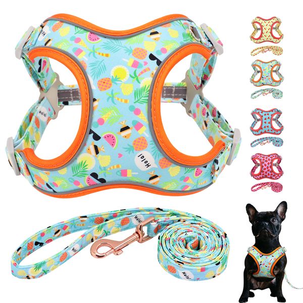 

nylon vest large and medium dog reflective fruit embossed french bulldog belt