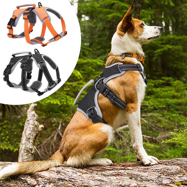

nylon reflective with adjustable handle and no pull dog strap