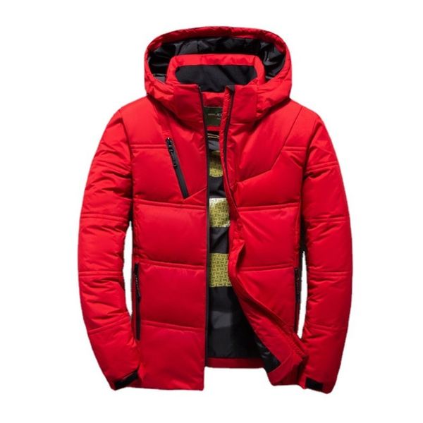 

20212021 new fashion leisure down multicolor trend hooded men's et, Black