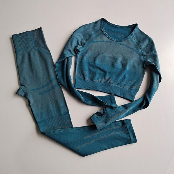 

seamless 2pcs yoga sets for women long sleeve crop fitness seamless legging sets workout gym clothing active gym suits sqcdfo pingtoy