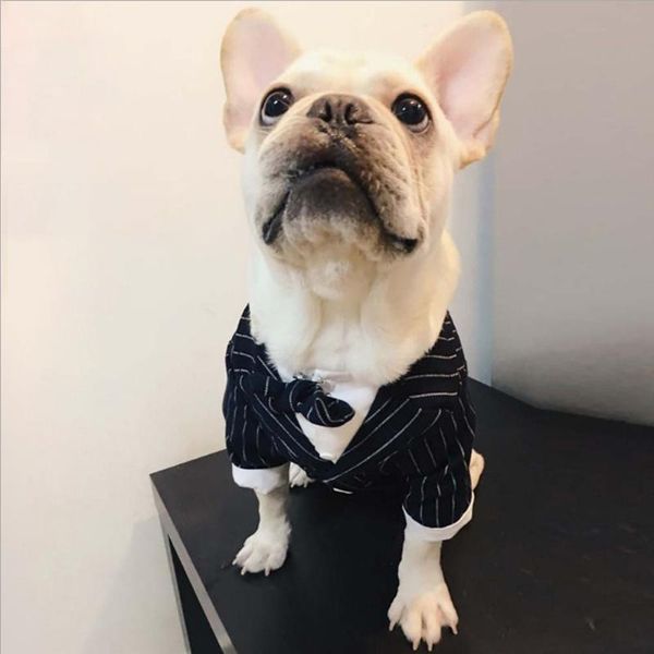 

dog clothes spring autumn striped suit and pants jacket coat teddy bichon two-legged suit pet clothes for small dog pet supplies